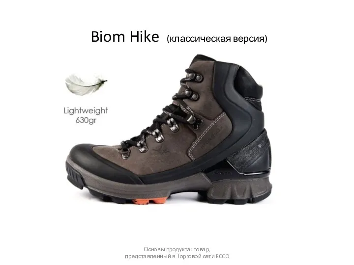 Biom Hike (классическая версия) Основы продукта: товар, представленный в Торговой сети ECCO