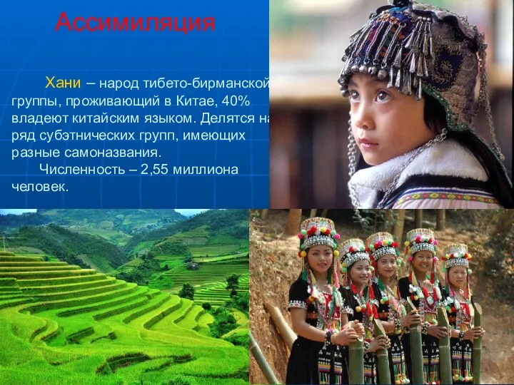 Ассимиляция Хани – народ тибето-бирманской группы, проживающий в Китае, 40%