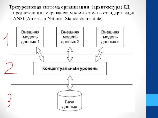 Трехуровневая система организации (архитектура) БД, предложенная американским комитетом по стандартизации ANSI (American National Standards Institute)