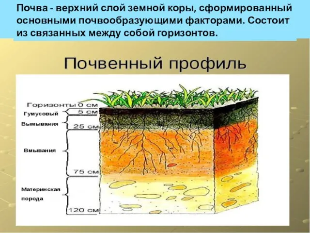 Почва - верхний слой земной коры, сформированный основными почвообразующими факторами. Состоит из связанных между собой горизонтов.