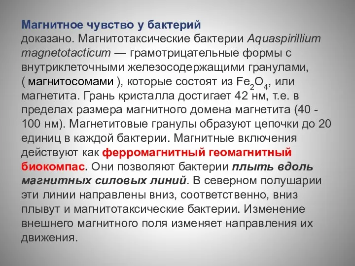 Магнитное чувство у бактерий доказано. Магнитотаксические бактерии Aquaspirillium magnetotaсticum —