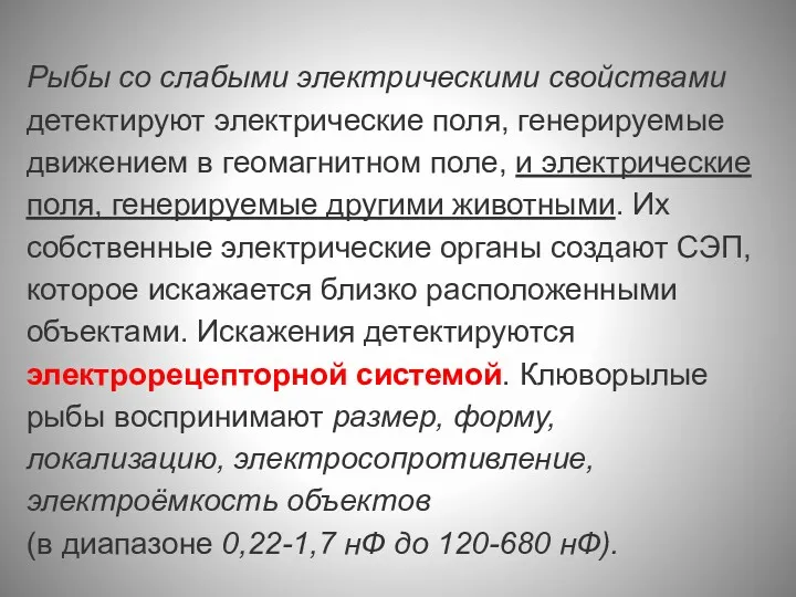 Рыбы со слабыми электрическими свойствами детектируют электрические поля, генерируемые движением