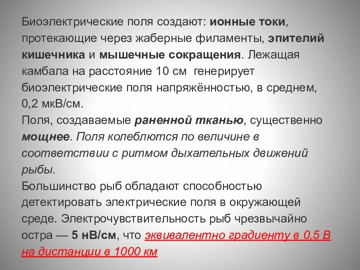 Биоэлектрические поля создают: ионные токи, протекающие через жаберные филаменты, эпителий