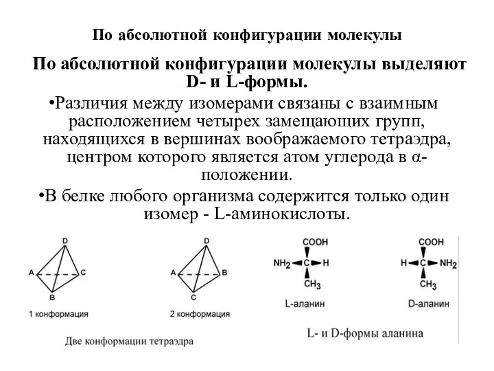 По абсолютной конфигурации молекулы По абсолютной конфигурации молекулы выделяют D-