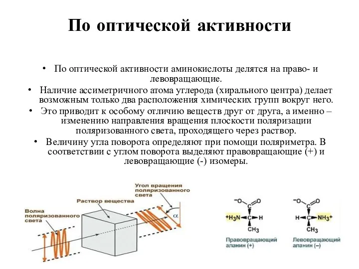 По оптической активности По оптической активности аминокислоты делятся на право-