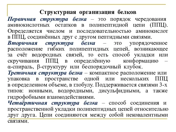 Структурная организация белков Первичная структура белка – это порядок чередования