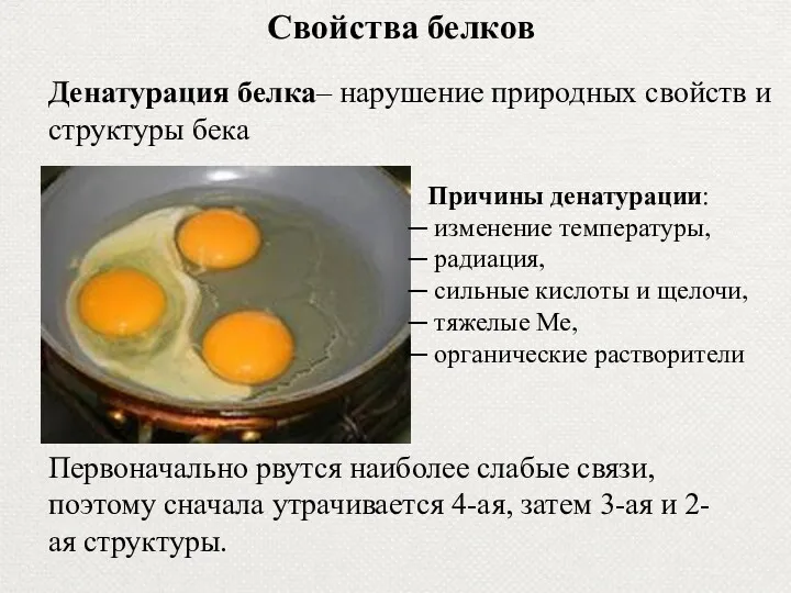 Свойства белков Денатурация белка– нарушение природных свойств и структуры бека