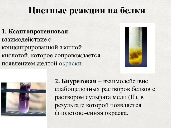 Цветные реакции на белки 1. Ксантопротеиновая – взаимодействие с концентрированной