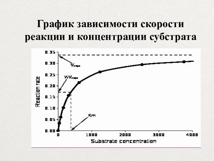 График зависимости скорости реакции и концентрации субстрата