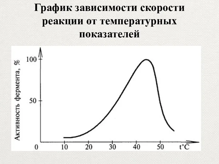 График зависимости скорости реакции от температурных показателей