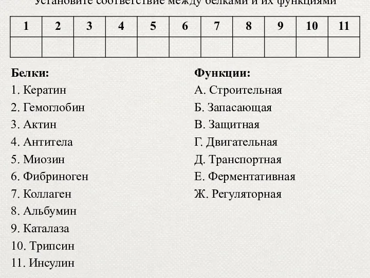 Установите соответствие между белками и их функциями Белки: 1. Кератин