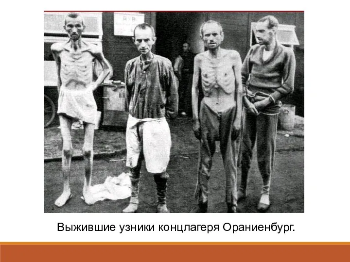 Выжившие узники концлагеря Ораниенбург.