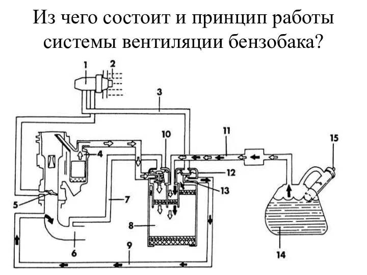 Из чего состоит и принцип работы системы вентиляции бензобака?