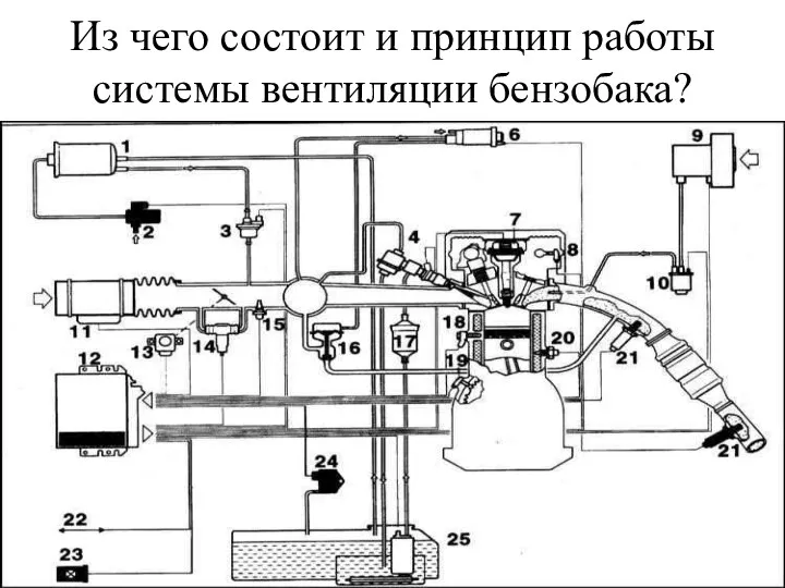 Из чего состоит и принцип работы системы вентиляции бензобака?