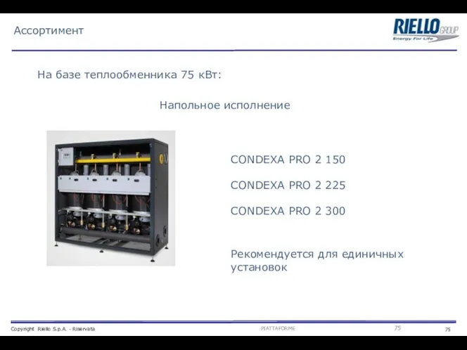 Ассортимент На базе теплообменника 75 кВт: Напольное исполнение СONDEXA PRO