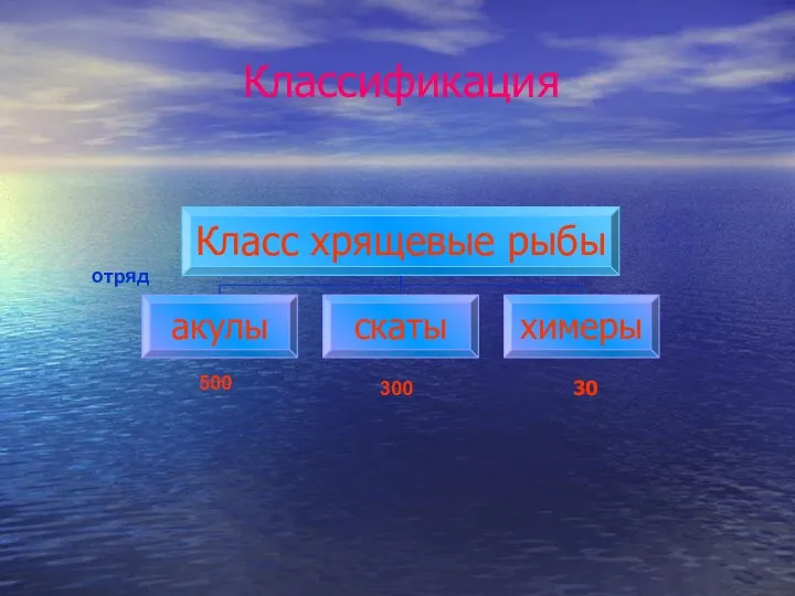 Классификация отряд 500 300 30