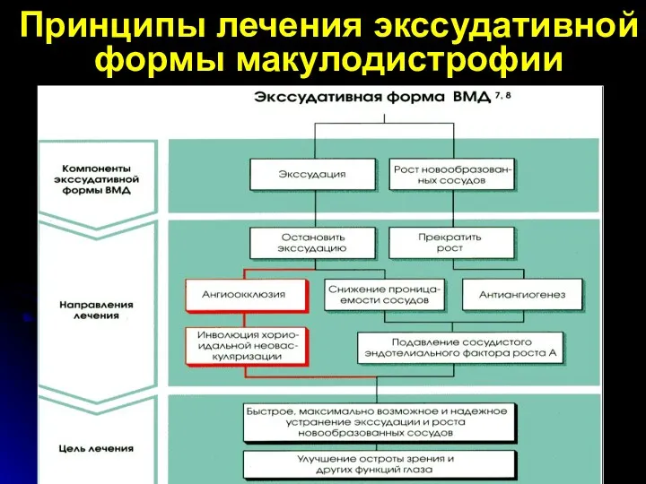 Принципы лечения экссудативной формы макулодистрофии