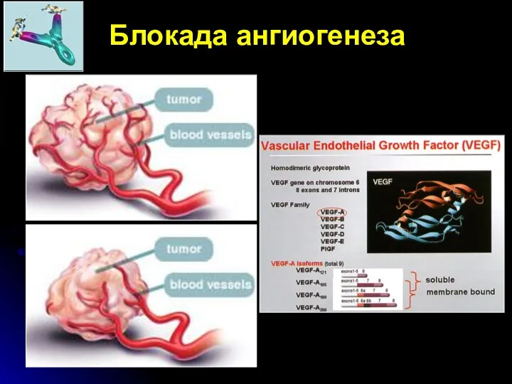 Блокада ангиогенеза