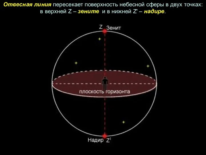 Отвесная линия пересекает поверхность небесной сферы в двух точках: в