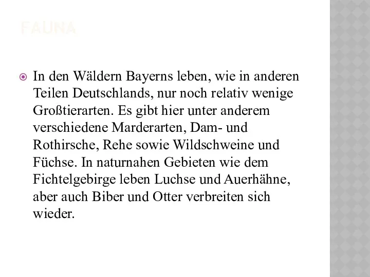 FAUNA In den Wäldern Bayerns leben, wie in anderen Teilen