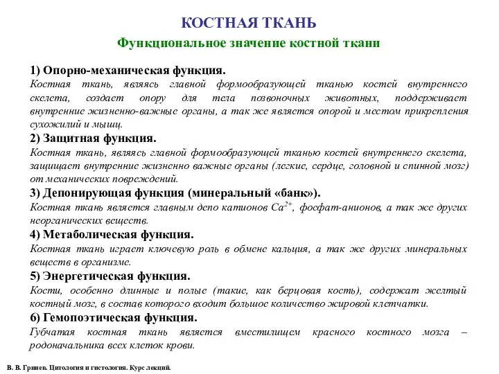 КОСТНАЯ ТКАНЬ Функциональное значение костной ткани В. В. Гринев. Цитология