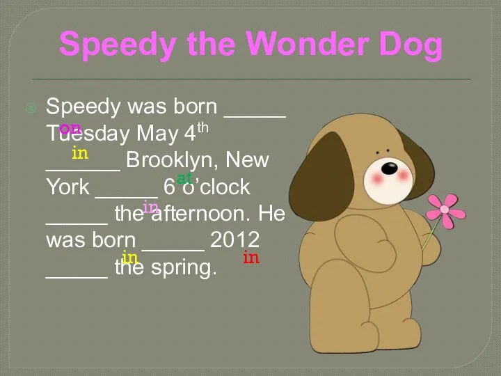 Speedy was born _____ Tuesday May 4th ______ Brooklyn, New