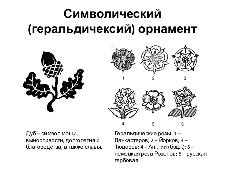 Символический(геральдичексий) орнамент Дуб – символ мощи, выносливости, долголетия и благородства,