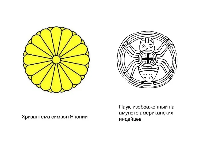 Хризантема символ Японии Паук, изображенный на амулете американских индейцев
