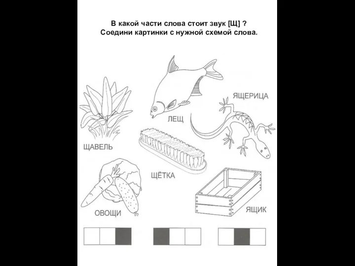 В какой части слова стоит звук [Щ] ? Соедини картинки с нужной схемой слова.