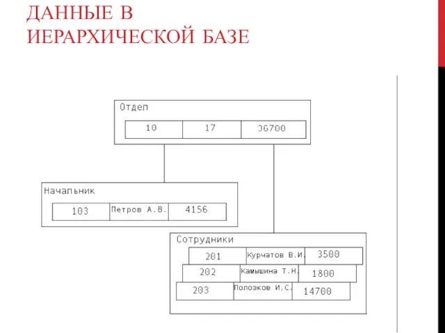 ДАННЫЕ В ИЕРАРХИЧЕСКОЙ БАЗЕ