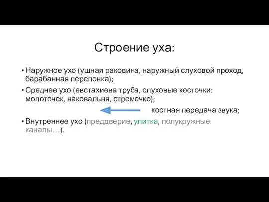 Строение уха: Наружное ухо (ушная раковина, наружный слуховой проход, барабанная