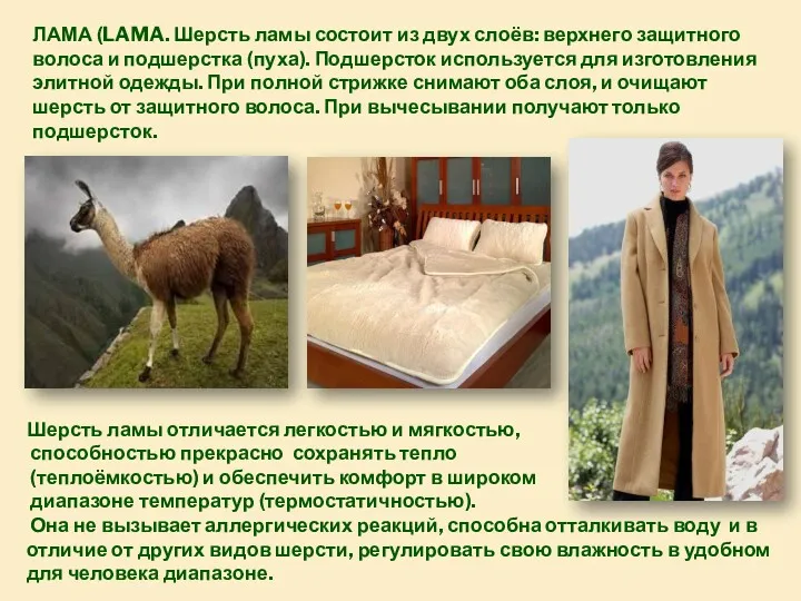 ЛАМА (LAMA. Шерсть ламы состоит из двух слоёв: верхнего защитного