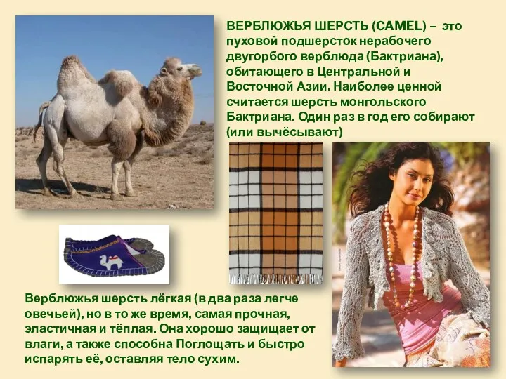 ВЕРБЛЮЖЬЯ ШЕРСТЬ (CAMEL) – это пуховой подшерсток нерабочего двугорбого верблюда