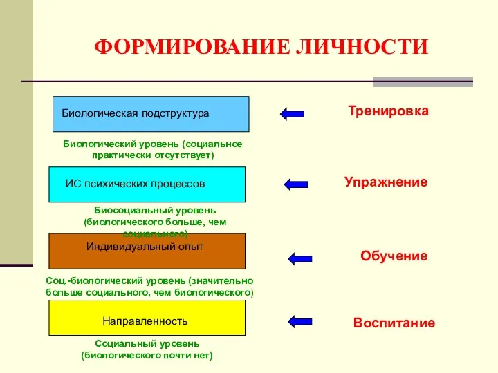 ФОРМИРОВАНИЕ ЛИЧНОСТИ Биологическая подструктура ИС психических процессов Индивидуальный опыт Направленность