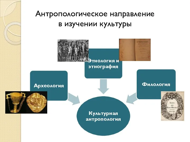 Антропологическое направление в изучении культуры