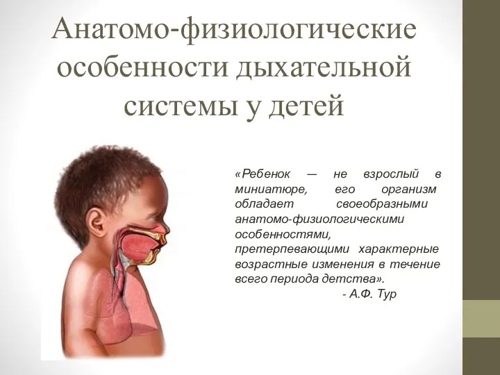 Анатомо-физиологические особенности дыхательной системы у детей «Ребенок — не взрослый в миниатюре, его