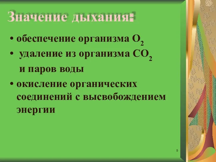 Значение дыхания: обеспечение организма О2 удаление из организма СО2 и паров воды окисление