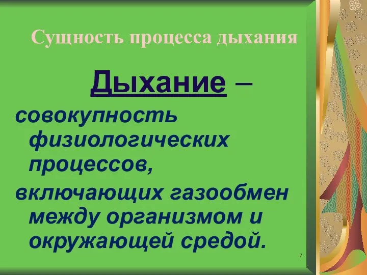 Сущность процесса дыхания Дыхание – совокупность физиологических процессов, включающих газообмен между организмом и окружающей средой.