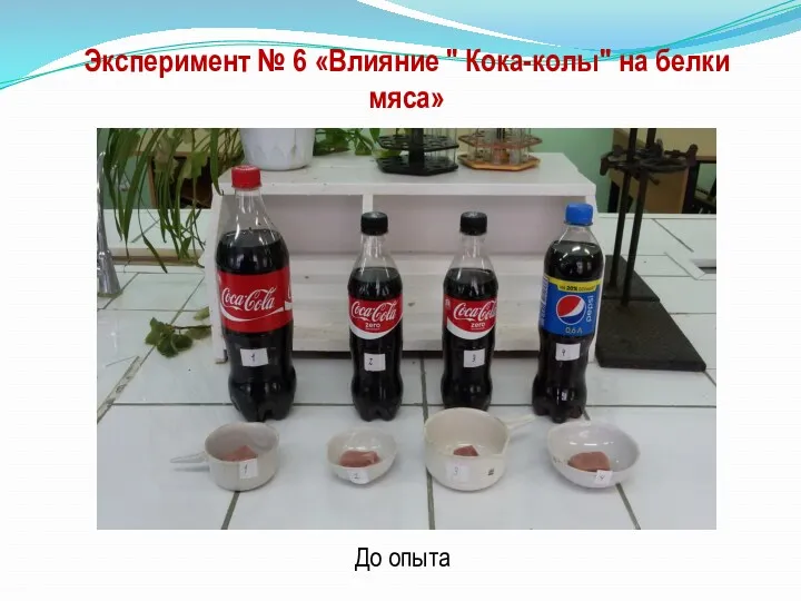 Эксперимент № 6 «Влияние " Кока-колы" на белки мяса» До опыта