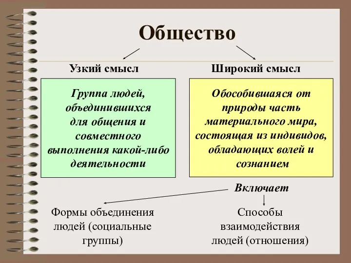 Обособившаяся от природы часть материального мира, состоящая из индивидов, обладающих