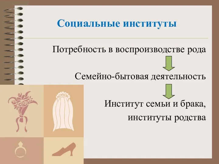 Социальные институты Потребность в воспроизводстве рода Семейно-бытовая деятельность Институт семьи и брака, институты родства