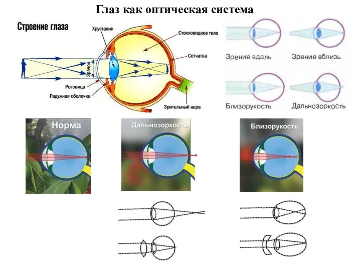 Глаз как оптическая система