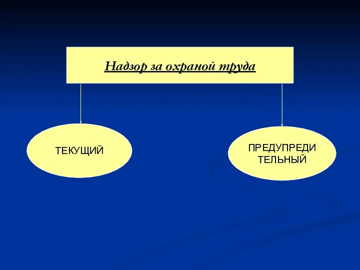 ТЕКУЩИЙ ПРЕДУПРЕДИТЕЛЬНЫЙ Надзор за охраной труда