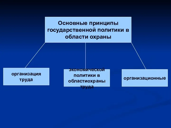 Основные принципы государственной политики в области охраны организация труда экономической политики в областиохраны труда организационные