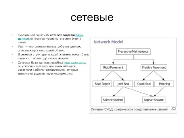 сетевые К основным понятиям сетевой модели базы данных относятся: уровень,