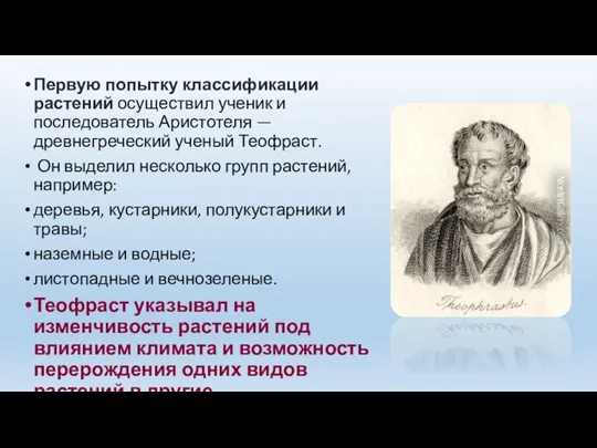 Первую попытку классификации растений осуществил ученик и последователь Аристотеля —