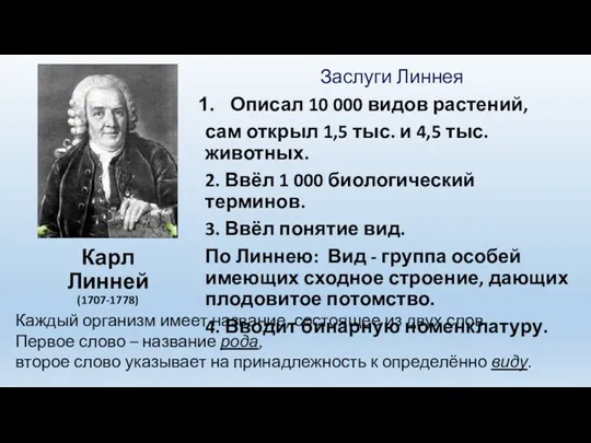 Карл Линней (1707-1778) Заслуги Линнея Описал 10 000 видов растений,