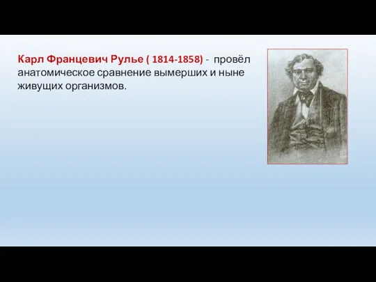 Карл Францевич Рулье ( 1814-1858) - провёл анатомическое сравнение вымерших и ныне живущих организмов.