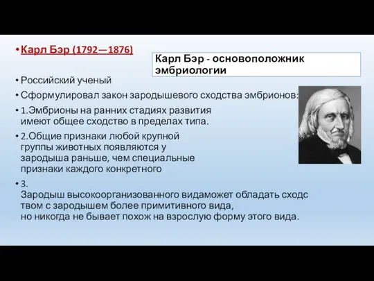 Карл Бэр - основоположник эмбриологии Карл Бэр (1792—1876) Российский ученый