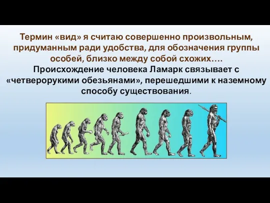 Термин «вид» я считаю совершенно произвольным, придуманным ради удобства, для